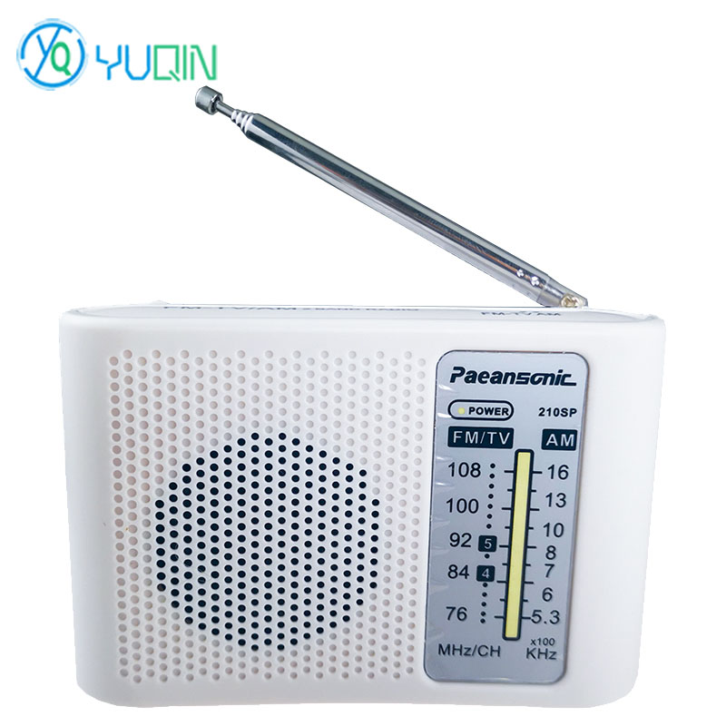 Kit Radio AM/FM 210SP Fai-da-T - Diy Electronics Projects For Beginners recensione e prezzo